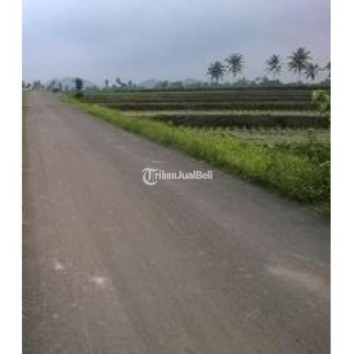 Jual Tanah Sawah Status SHM Di Daerah Wonoayu Siap Untuk Investasi Di