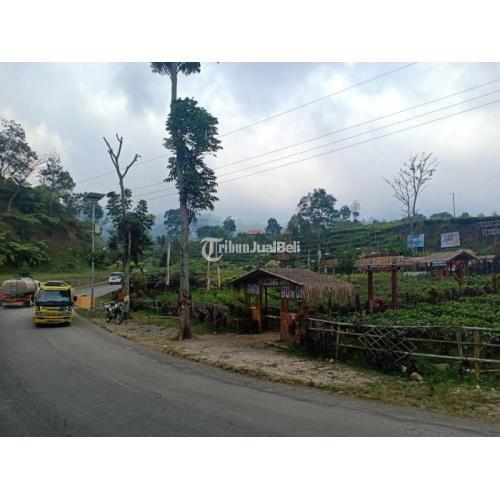 Tanah Cocok Dibangun Villa Di Kawasan Wisata Kebun Teh Kemuning