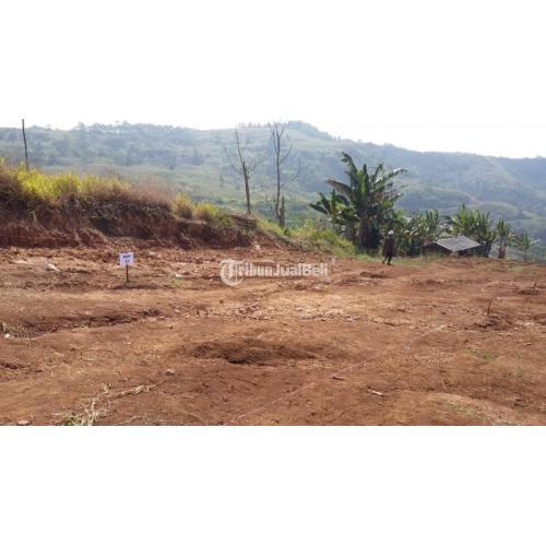 Jual Tanah Kavling Murah Di Cipanas Free Kebun Hidroponik SHM Di Bogor