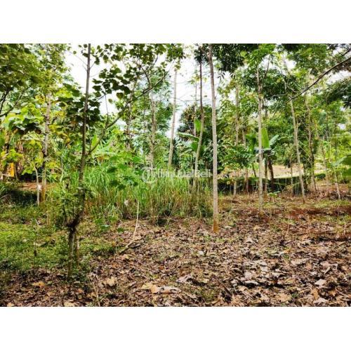 Dijual Tanah 895m2 Subur Cocok Untuk Kebun Durian Mojogedang Di