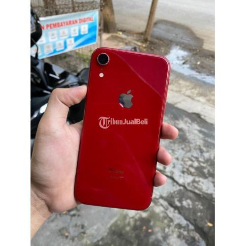 HP IPhone XR 64 GB Bekas Siap Pakai No Minus Fullset Bergaransi Di