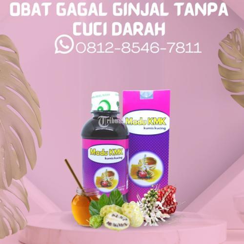 Obat Gagal Ginjal Tanpa Cuci Darah Madu KMK Di Bekasi TribunJualBeli