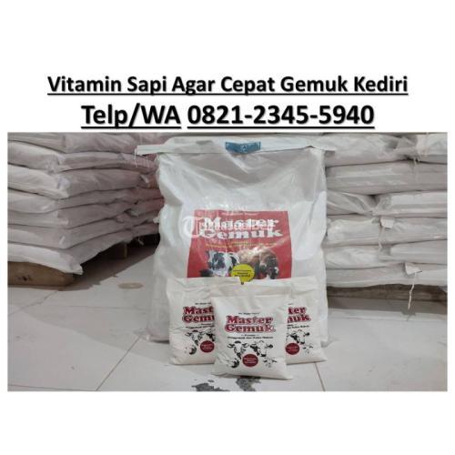 Vitamin Sapi Agar Cepat Gemuk Purwoasri Di Kediri Tribunjualbeli