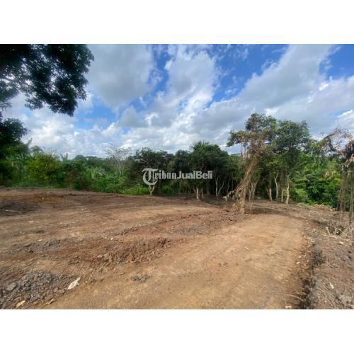 Dijual Tanah View Sawah Dan Sungai Area Pariwisata Pantai Tanah Lot