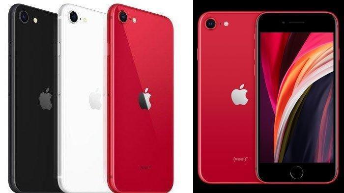 Simak Bocoran Spesifikasi IPhone SE 3 Yang Akan Dirilis Maret 2022