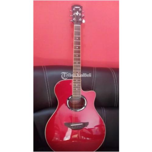 gitar akustik apx 500