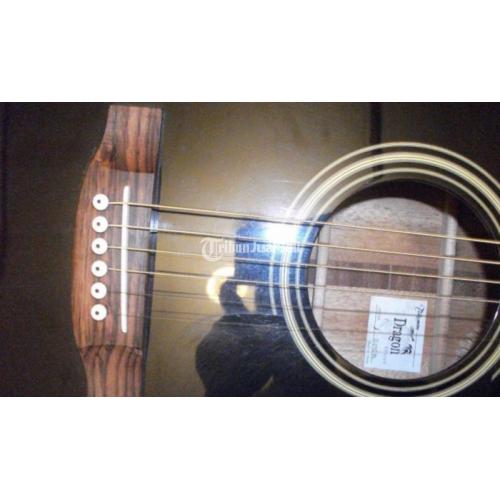 takamine dragon d series