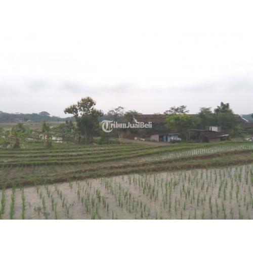 Dijual Investasi Tanah Sawah Pemandangan Cantik di Kabupaten Semarang