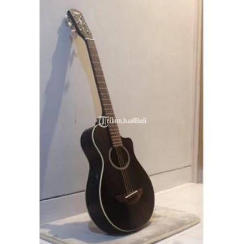 harga gitar apx t2