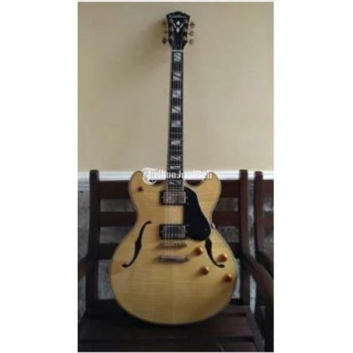 washburn semi hollow body guitar