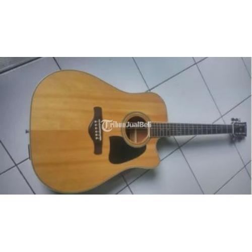 ibanez artwood aw