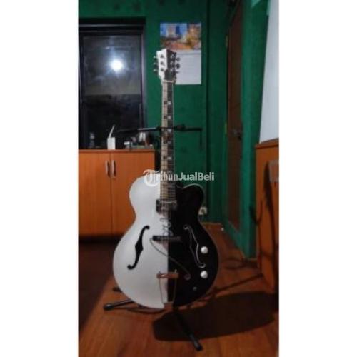 gitar hollow body custom