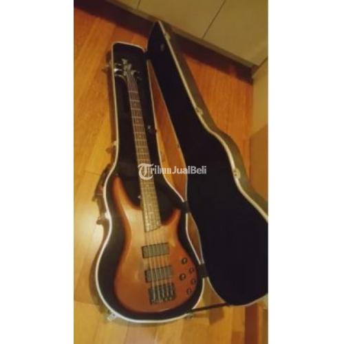 ibanez sdgr 5 string