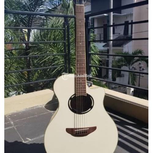 gitar akustik apx500