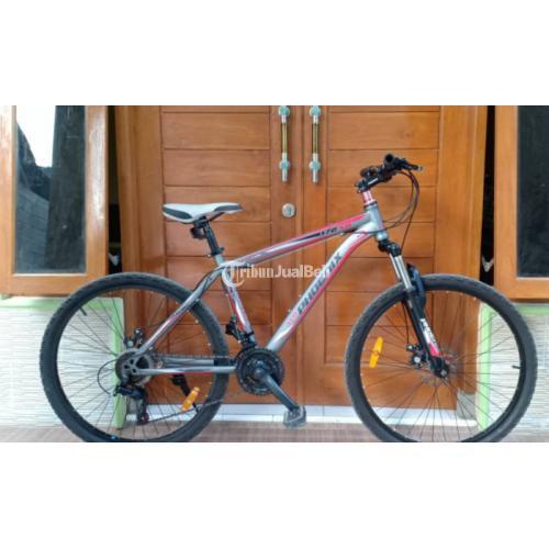 mtb new phoenix