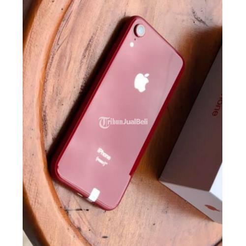 HP Bekas iPhone XR 64GB Original Mulus Fullset Bebas Reset Harga Murah