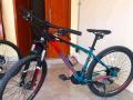 Sepeda Polygon Cascade 4 Bekas Harga Rp 3,45 Juta MTB Murah Normal - Mataram