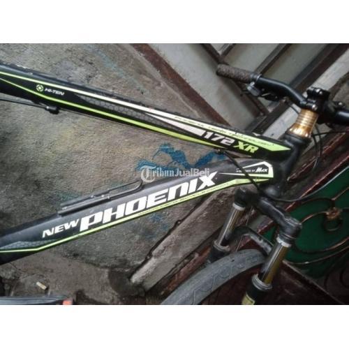 mtb new phoenix