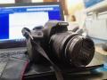 Kamera DSLR Canon 1200D Bekas Lensa Bebas Jmaur Siap Pakai - Denpasar