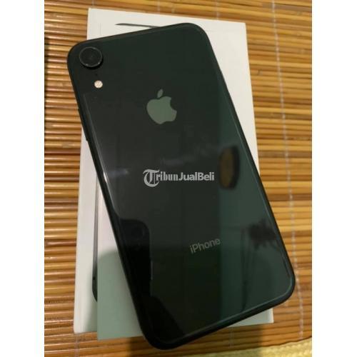 HP iPhone XR 64GB Bekas Mulus iOS 14.4 True Tone Pn Fullset Harga Murah