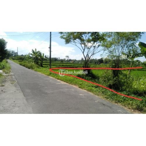 Dijual Tanah Taraman View Merapi 1,5Km Timur Jl Kaliurang Km10 Akses Jl Aspal - Jogja