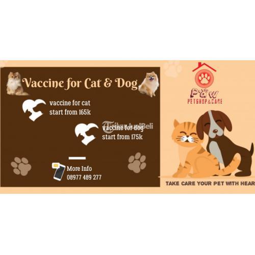 Kucing harga 2021 vaksin Pecinta Anabul