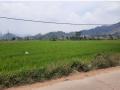 Tanah Cipatik Cihampelas Batujajar Bandung Barat