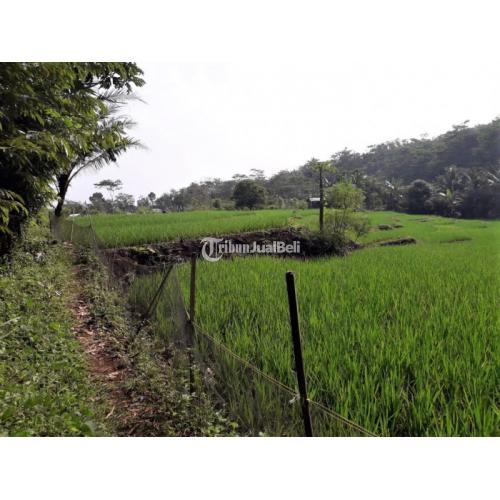 Jual Tanah 9047 m2 Lingkungan Aman Dan Nyaman SHM Nego Tuntang - Semarang