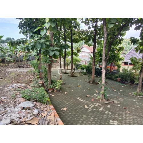 Dijual Rumah Baru Gress Sendangmulyo Siap Huni Harga Negi - Semarang