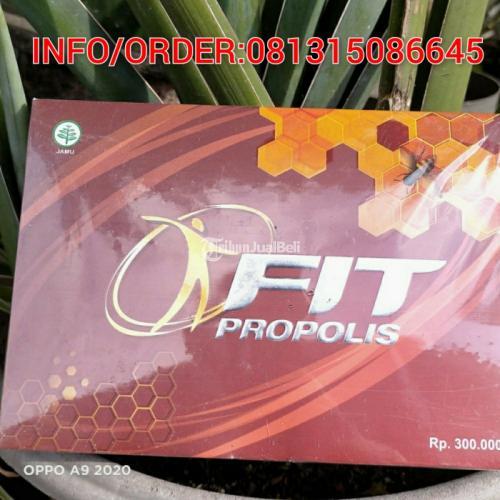 Fit Propolis 1 Box Isi 3 Botol @10ml BPOM - Denpasar