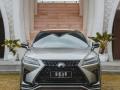 Mobil Lexus RX300 F-Sport 2018 Bekas Pajak Jalan Terawat Istimewa Nego - Bali