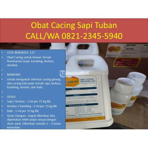 Obat Sapi Cacingan Tradisional di Tuban - TribunJualBeli.com