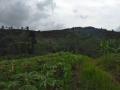 Tanah satu hamparan view bagus, datar di Sukabumi, Jawa Barat (GA20420-CS)