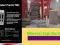 Mineral Mix Master Premix MH Untuk Kambing Nganjuk