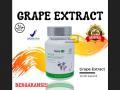Tianshi Grape Extract Obat Herbal Vertigo Jantung Stroke - Jakarta Pusat