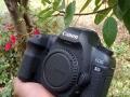 Kamera Canon EOS 5D MARK II  Normal Siap Pakai - Mojokrto Kota
