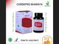 Cordepro Bharata Original 100% - Obat Paru-Paru, Obat Ginjal Premium, Peluruh Batu Ginjal Emped