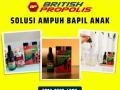 Solusi BAPIL ( Batuk Pilek ) Untuk Anak Anak : British Propolis Green di Blitar