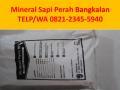 Mineral Hitam Untuk Kambing Bangkalan