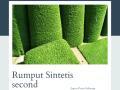 rumput sintetis second