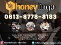 Jasa Penerjemah Abstrak Profesional | Honey Lingo