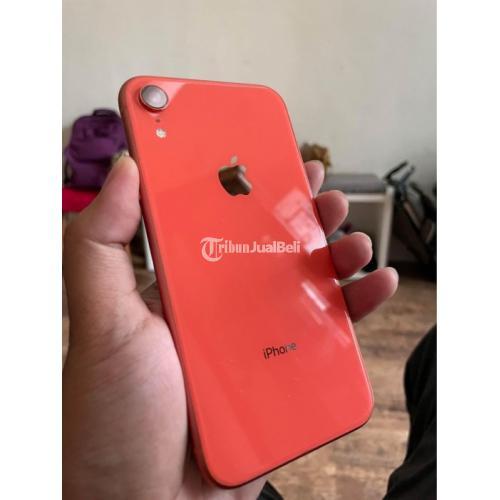 Hp Iphone Xr 64gb Coral Bekas Pemakaian Pribadi Full Normal Di Mojokerto Tribunjualbeli Com