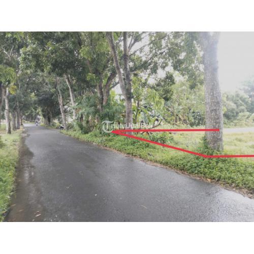 Tanah Jogja, Plaosan Tlogoadi Selatan Kampung Flory Dekat ke Jl Kebonagung - Sleman