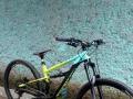 Sepeda Polygon Siskiu T7 29 Size L Bekas Normal Mulus Siap Gowes - Cianjur