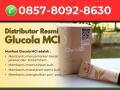 Suplemen Buat Kesehatan Glucola MCI Melayani Air Padang - Bengkulu Utara