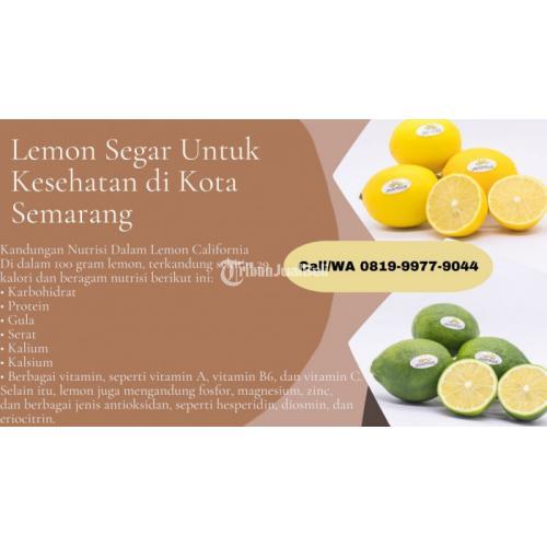 Lemon Segar untuk Kesehatan Memiliki Berbagai Macam Manfaat - Purwokerto