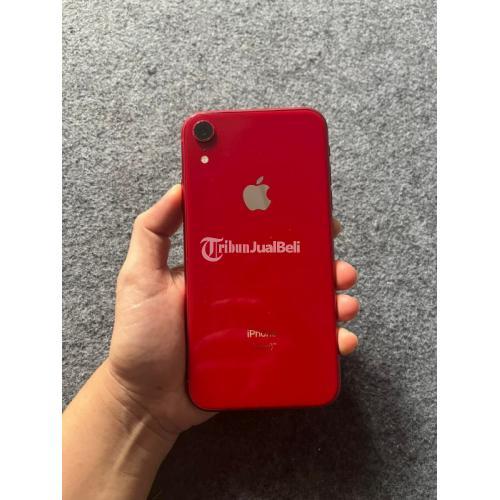 HP iPhone XR 64 GB Bekas Warna Merah Kondisi Normal Siap Pakai - Wonosobo