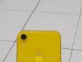 HP iPhone XR 64GB Yellow Secind Baterai 87% Mulus Nego - Semarang