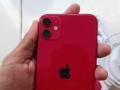 Dijual iPhone 11 64GB Merah Seken Aman Siap Pakai - Yogyakarta