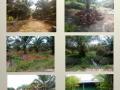 Dijual Kebun Kelapa Sawit 2.085 Hektar Legalitas Lengkap - Sambas
